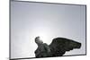 Angel's Wing, Statue, Copenhagen, Denmark, Scandinavia-Axel Schmies-Mounted Photographic Print