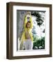 Angel Tompkins-null-Framed Photo