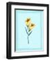 Angel Trumpet Flowers-Danielle O'Malley-Framed Art Print