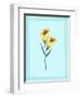 Angel Trumpet Flowers-Danielle O'Malley-Framed Art Print