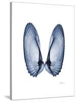 Angel Wings-Albert Koetsier-Stretched Canvas