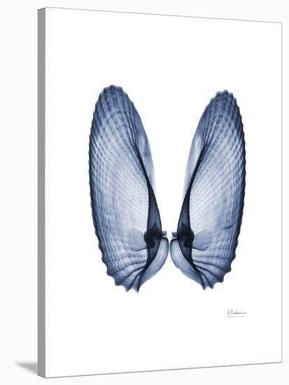 Angel Wings-Albert Koetsier-Stretched Canvas