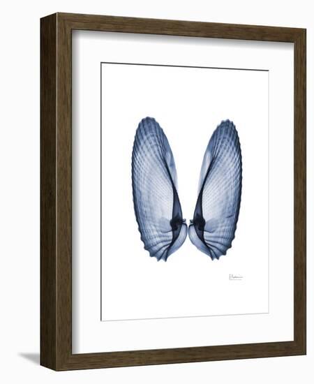 Angel Wings-Albert Koetsier-Framed Art Print