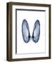 Angel Wings-Albert Koetsier-Framed Art Print