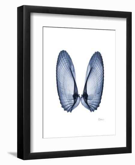 Angel Wings-Albert Koetsier-Framed Art Print