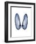 Angel Wings-Albert Koetsier-Framed Art Print