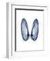 Angel Wings-Albert Koetsier-Framed Art Print