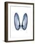 Angel Wings-Albert Koetsier-Framed Art Print