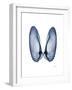 Angel Wings-Albert Koetsier-Framed Art Print