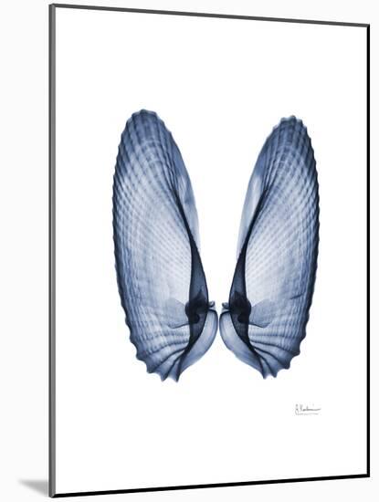 Angel Wings-Albert Koetsier-Mounted Art Print