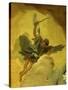 Angel with Sword and Shield, from the Fall of the Rebel Angels, Fresco, Grand Staircase (Detail)-Giambattista Tiepolo-Stretched Canvas