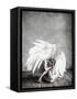 Angel-PhotoINC Studio-Framed Stretched Canvas