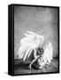 Angel-PhotoINC Studio-Framed Stretched Canvas