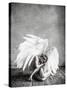 Angel-PhotoINC Studio-Stretched Canvas