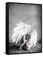 Angel-PhotoINC Studio-Framed Stretched Canvas