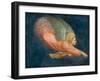 Angel-Italian School-Framed Giclee Print