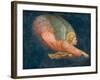 Angel-Italian School-Framed Giclee Print