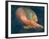 Angel-Italian School-Framed Giclee Print