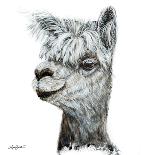 Skippy the Alpaca-Angela Bawden-Stretched Canvas