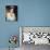 Angela Lansbury-null-Photo displayed on a wall