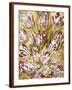 Chelsea Espresso
