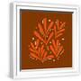 White Frame
