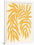 Gramercy White