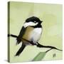 Stretched Canvas