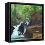 Canvas Black