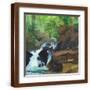 Brown Frame