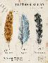 Laminate
