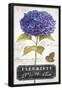 Chelsea Black