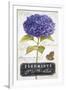 Gramercy White