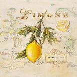 Tuscan Lemon-Angela Staehling-Art Print