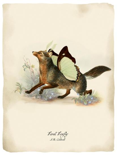 Foxfly' Posters - Angela Tannehill | AllPosters.com