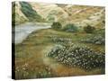 Stretched Canvas