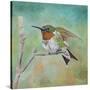 Stretched Canvas