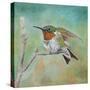 Stretched Canvas