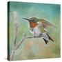Stretched Canvas