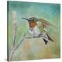 Stretched Canvas