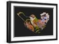 Black Frame