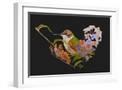 White Frame