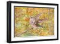 Black Frame