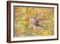 Brown Frame