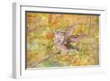 White Frame