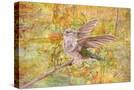 Stretched Canvas