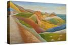 Stretched Canvas