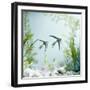 Angelfish Melanic Veiltail 'Black Lace' Variety, from Rivers of Amazon Basin, South America-Jane Burton-Framed Photographic Print