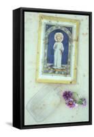 Angelic Pelargonium-Den Reader-Framed Stretched Canvas