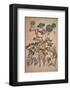 Angelica Arcangelica-Jacopo Ligozzi-Framed Art Print